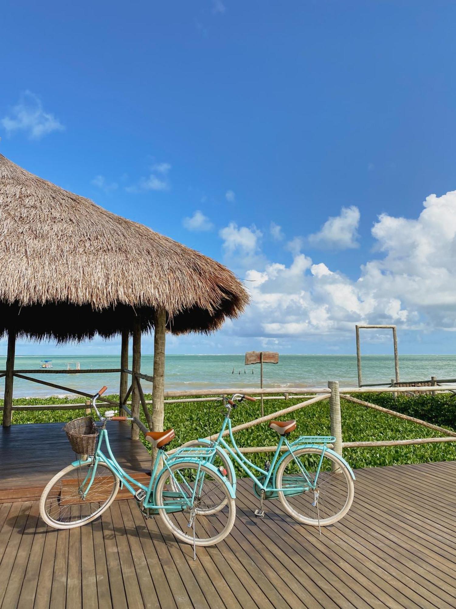 Casa Seriguela - Praia Do Patacho - Rota Ecologica Dos Milagres Порту-ді-Педрас Екстер'єр фото